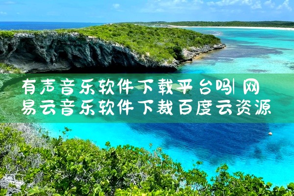 有声音乐软件下载平台吗