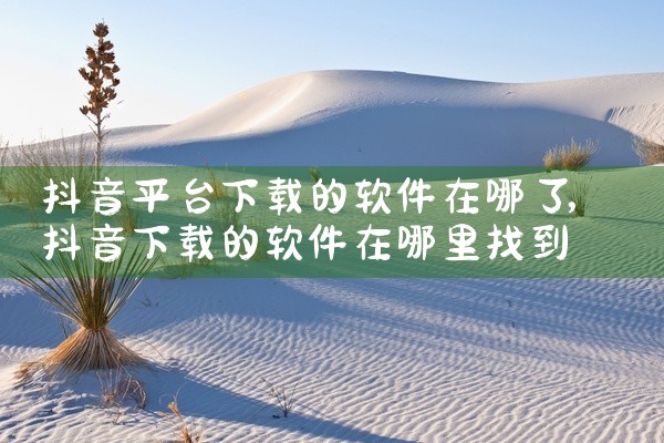 抖音平台下载的软件在哪了