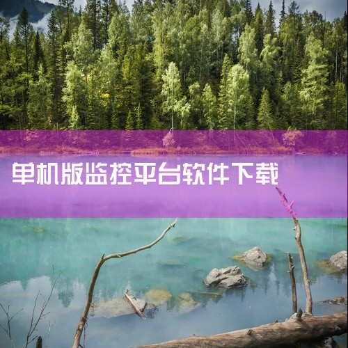 手机监控看家：手机监控看家是一款简单易用的视频监控软件，支持手机远程查看、录像回放、报警推送等功能。它可以帮助用户随时随地掌握家中情况，保障家庭安全。萤石云：萤石云是海康威视推出的视频监控云平台，支持,
