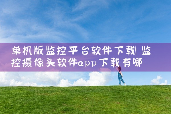 单机版监控平台软件下载