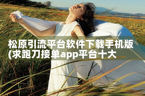 松原引流平台软件下载手机版