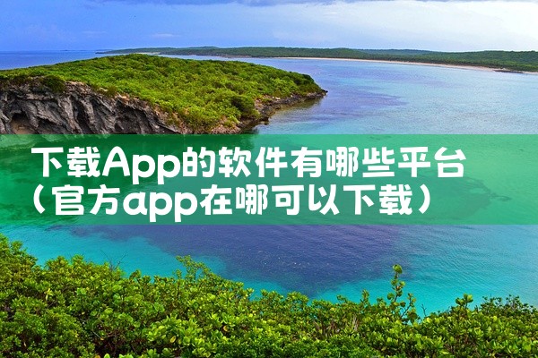 下载App的软件有哪些平台