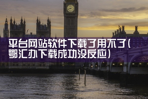 平台网站软件下载了用不了