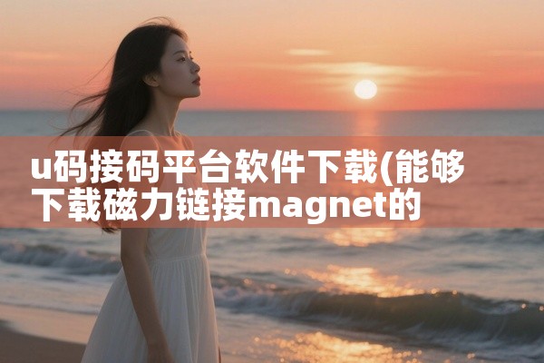 u码接码平台软件下载