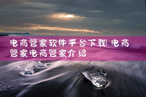电商管家软件平台下载