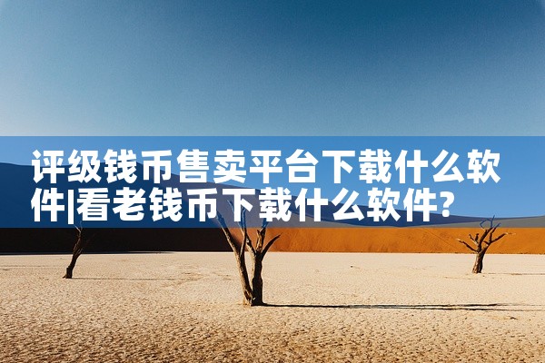 评级钱币售卖平台下载什么软件