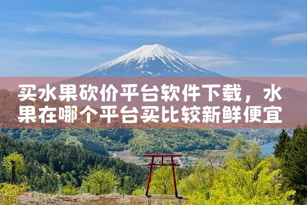 买水果砍价平台软件下载